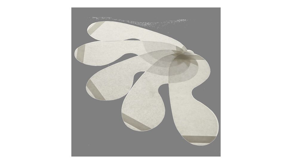 Paulson Manufacturing Clr Mylar Cover Lens 5 Pk - A-GLCC