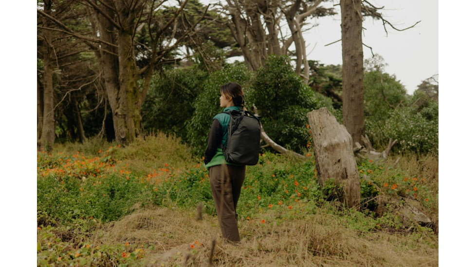 Peak Design V2 Everyday Totepack, 20 Liters, Black, BEDTP-20-BK-3