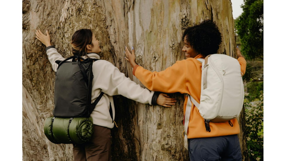 Peak Design V2 Everyday Totepack, 20 Liters, Black, BEDTP-20-BK-3