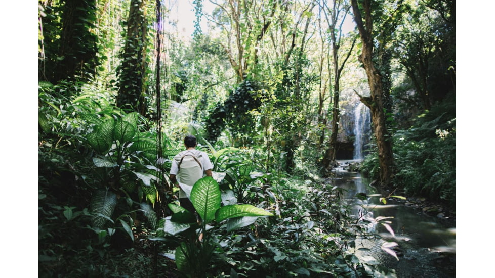 Peak Design V2 Everyday Totepack, 20 Liters, Bone, BEDTP-20-BO-3