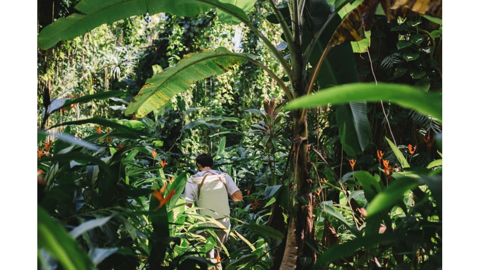 Peak Design V2 Everyday Totepack, 20 Liters, Bone, BEDTP-20-BO-3