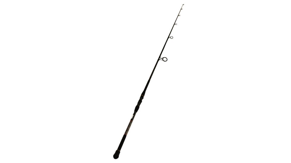 Penn Fishing BATSF1220S10/BATTA SF 12-20LB 10FT SPN 1338262