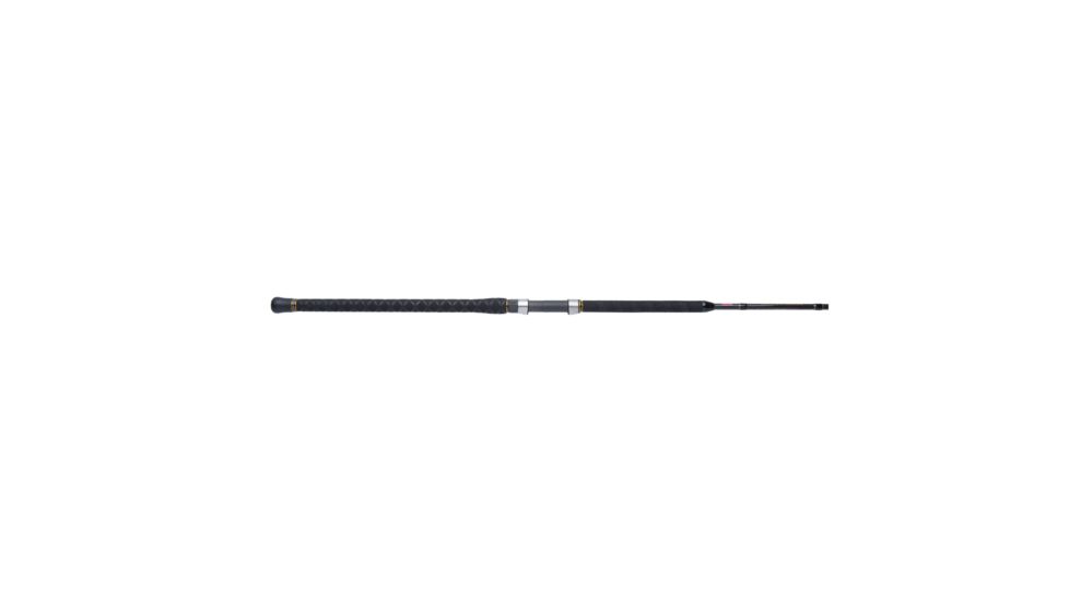 Penn Fishing CARSFII2050C11 Carnage II MH 11' 2pc 1366229