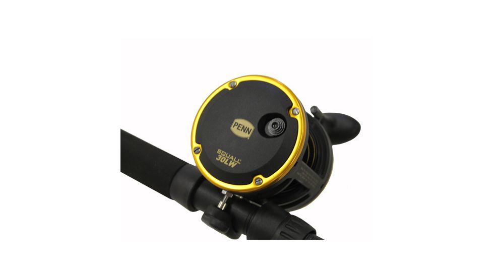 Penn Fishing SQL30LW2050C66/SQL30LW 6FT6 20-50LB CBO 1338236