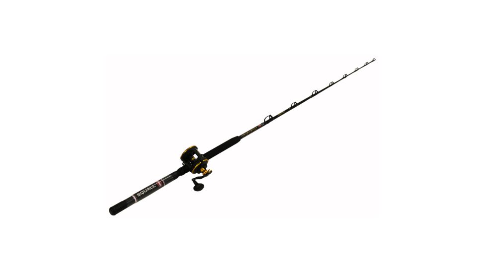 Penn Fishing SQL30LW2050C66/SQL30LW 6FT6 20-50LB CBO 1338236