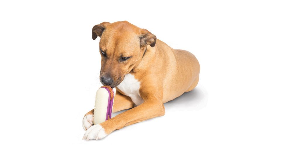 Petsafe Busy Buddy Ultra Super Sub, White/Purple, Small, BB-ULT-SUB-S