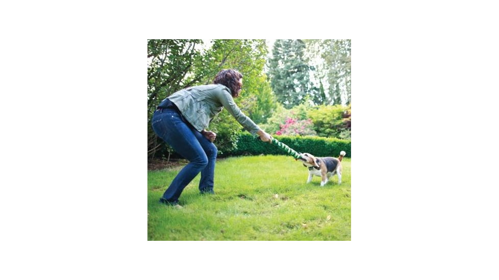 Petsafe Elite Little Dog In-Ground Fence Receiver w/Collar, For Dogs 5lbs and Up/Fits Neck Size 6-16in PIG19-11042
