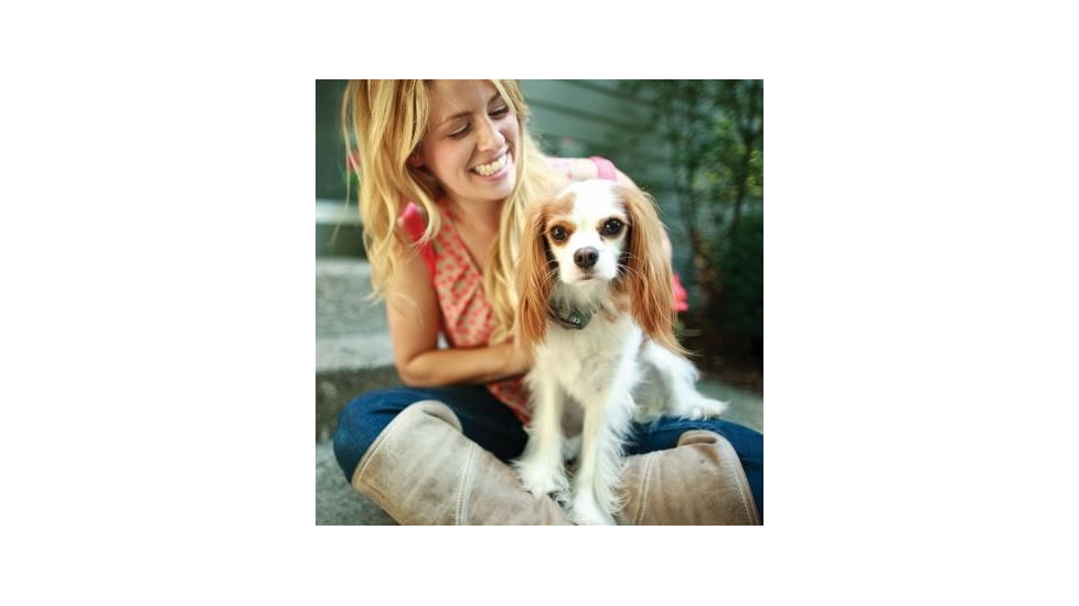 Petsafe Elite Little Dog In-Ground Fence Receiver w/Collar, For Dogs 5lbs and Up/Fits Neck Size 6-16in PIG19-11042
