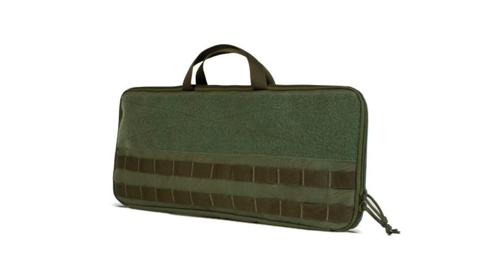 PODAVACH Carry Case for AR15, AK Speed Loaders, Olive, NSN n, CCO