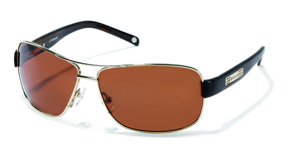 Polaroid Miguel Bifocal Sunglasses, Gold Frame PDX4115ZBF