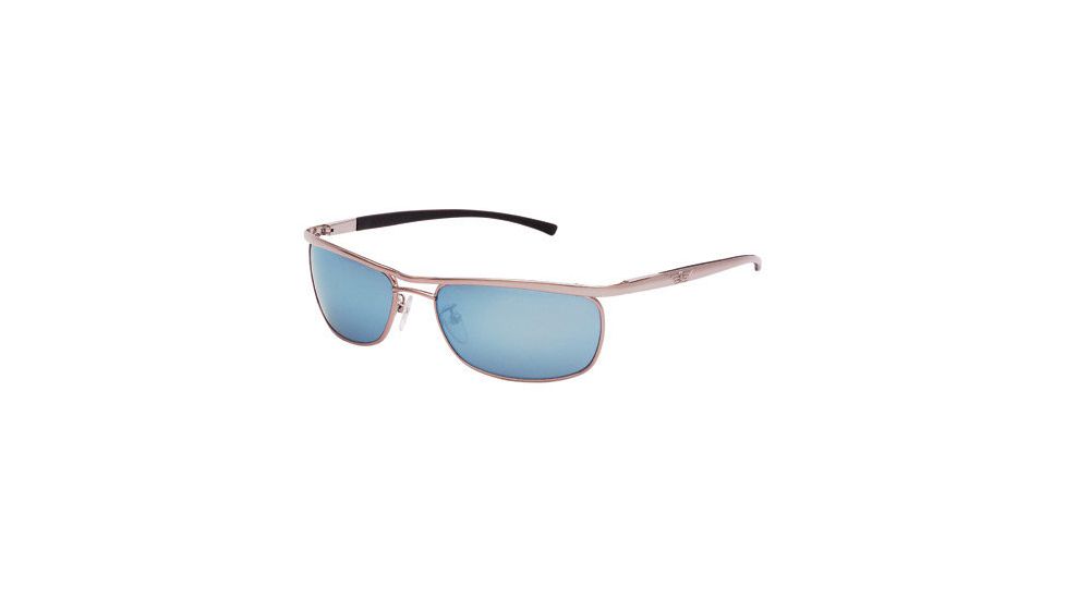 Police Sun glasses 8307 with Shiny Palladium 579V Frame