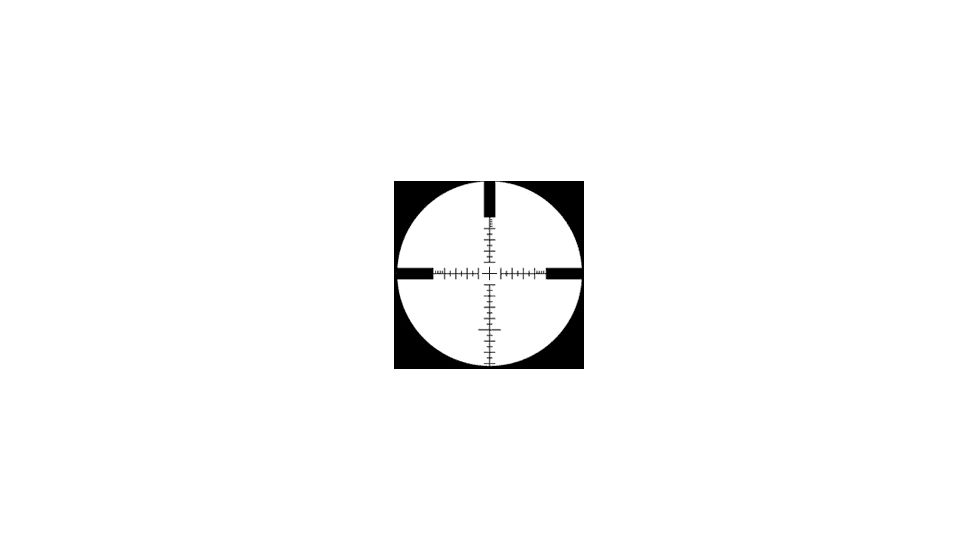 P4 Reticle