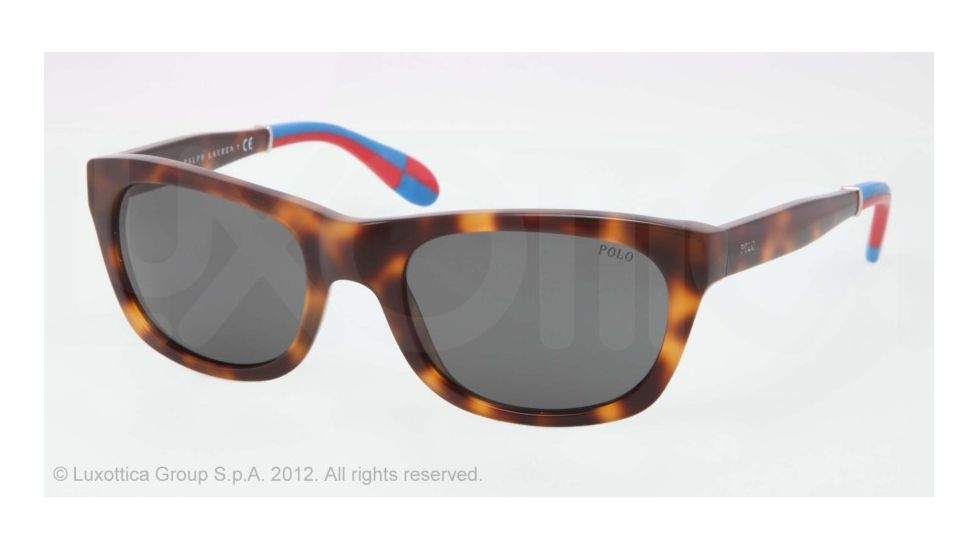 Polo PH4077 Progressive Prescription Sunglasses PH4077-530387-54 - Lens Diameter 54 mm, Lens Diameter 54 mm, Frame Color Jl Tortoise