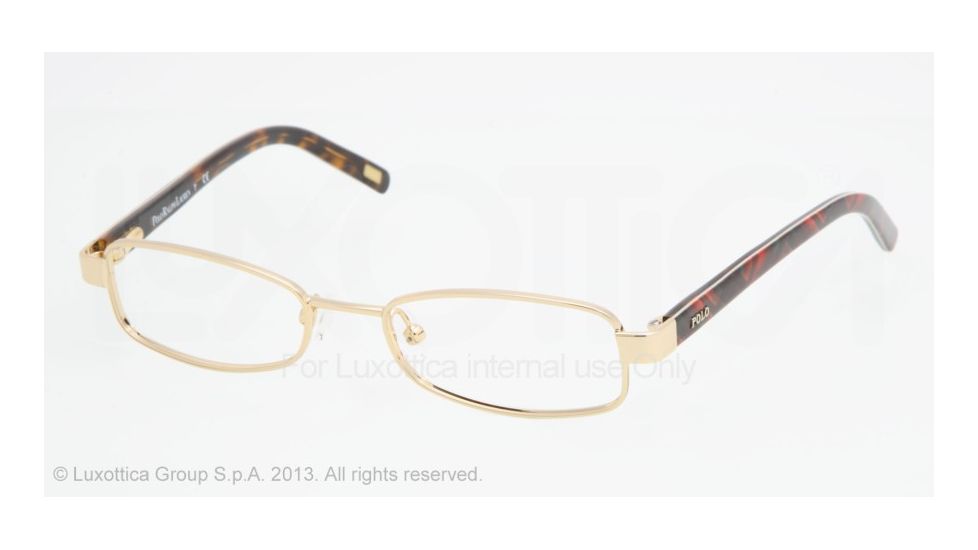 Polo PP8023 Eyeglass Frames 106-47 - Gold Frame