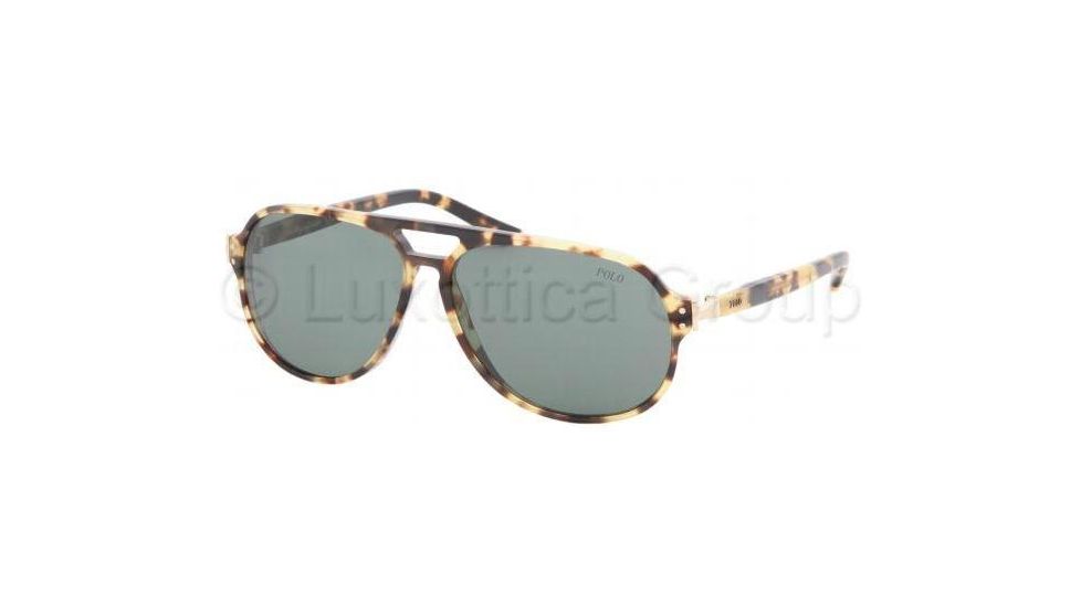 Polo Sunglasses PH4034 500471-5912 - Shiny Light Havana Gray Green