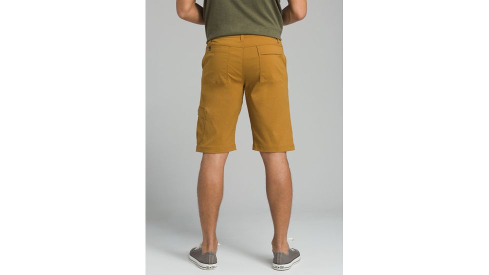 prAna Stretch Zion Short - Mens, Bronzed, 28 Waist, 10 inch Inseam, M3ST10117-BRZD-28