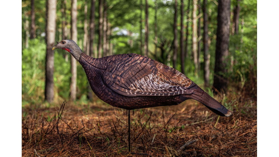 Primos Hunting Photoform Hen Decoy, Box, 69068