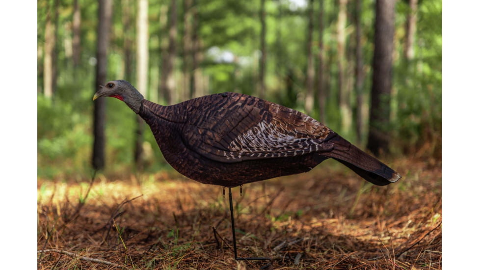 Primos Hunting Photoform Hen Decoy, Box, 69068