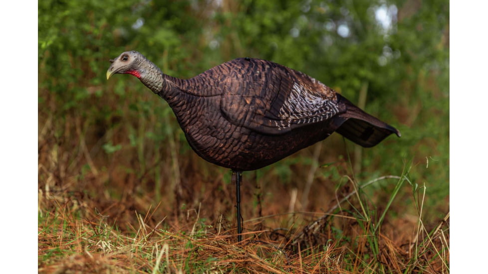 Primos Hunting Photoform Hen Decoy, Box, 69068