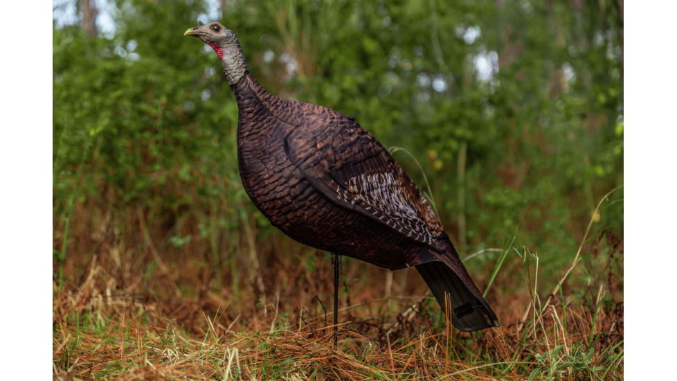 Primos Hunting Photoform Hen Decoy, Box, 69068