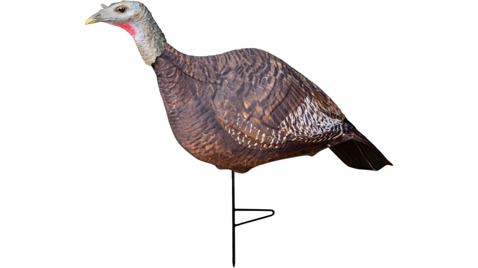 Primos Hunting Photoform Hen Decoys, 69068