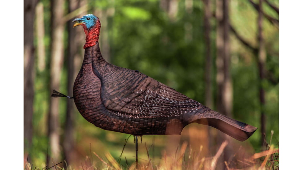 Primos Hunting Photoform Jake Decoy, Box, 69069