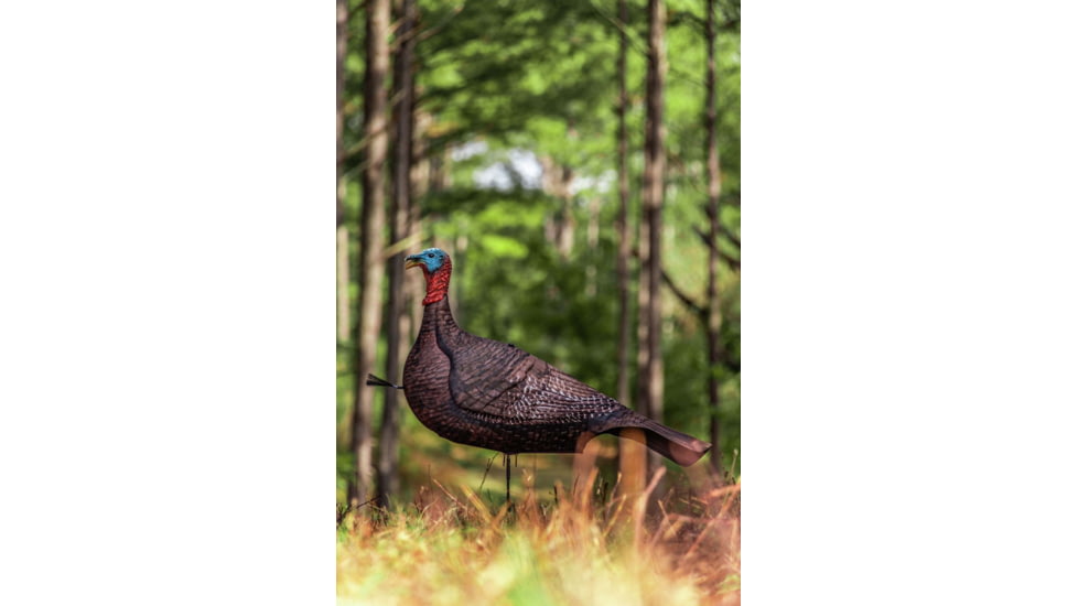 Primos Hunting Photoform Jake Decoy, Box, 69069