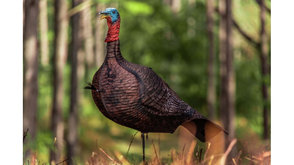 Primos Hunting Photoform Jake Decoy, Box, 69069