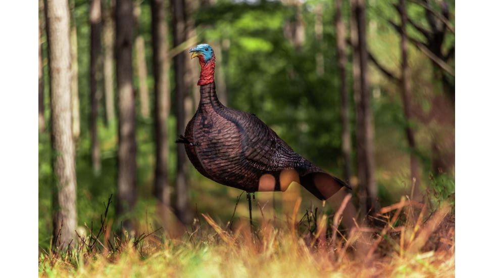 Primos Hunting Photoform Jake Decoy, Box, 69069