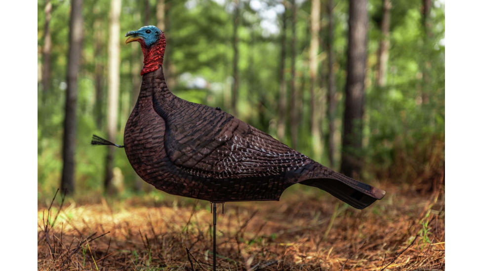 Primos Hunting Photoform Jake Decoy, Box, 69069