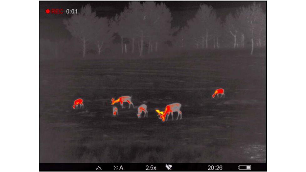 OpticsPlanet Exclusive Refurbished, Pulsar 2.5-20x Helion 2 XP50 2.5-20 Thermal Monocular,17mm, 640x480px, Black, PL77402