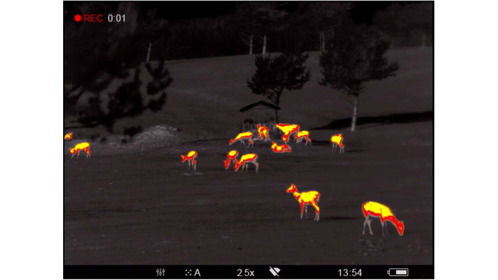 OpticsPlanet Exclusive Refurbished, Pulsar 2.5-20x Helion 2 XP50 2.5-20 Thermal Monocular,17mm, 640x480px, Black, PL77402