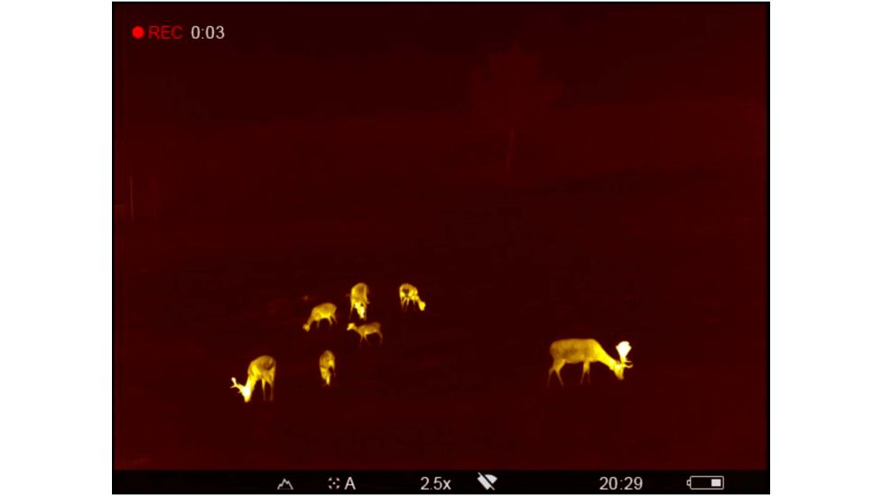 OpticsPlanet Exclusive Refurbished, Pulsar 2.5-20x Helion 2 XP50 2.5-20 Thermal Monocular,17mm, 640x480px, Black, PL77402