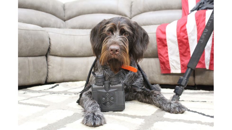 Pulsar Accolade XQ38 Thermal Binoculars, Black, PL77411