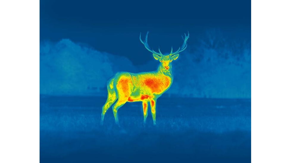 Pulsar Axion XQ30 Pro 2-8x1.2in Thermal Monocular, 50Hz, 384x288, Black, Pl77506