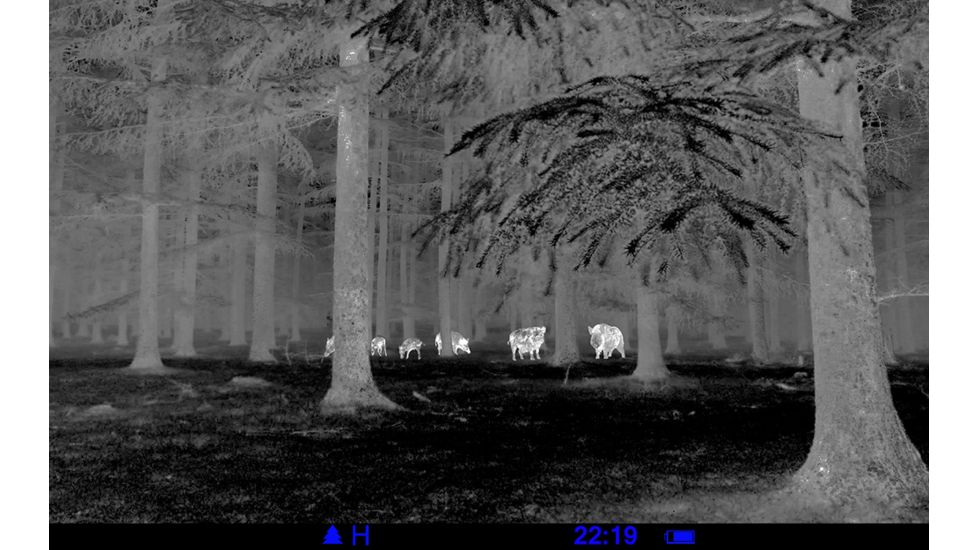 Demo,Pulsar Quantum XD19A 1-4x16 Thermal Imaging Monocular, Matte Black, PL77318-DEMO