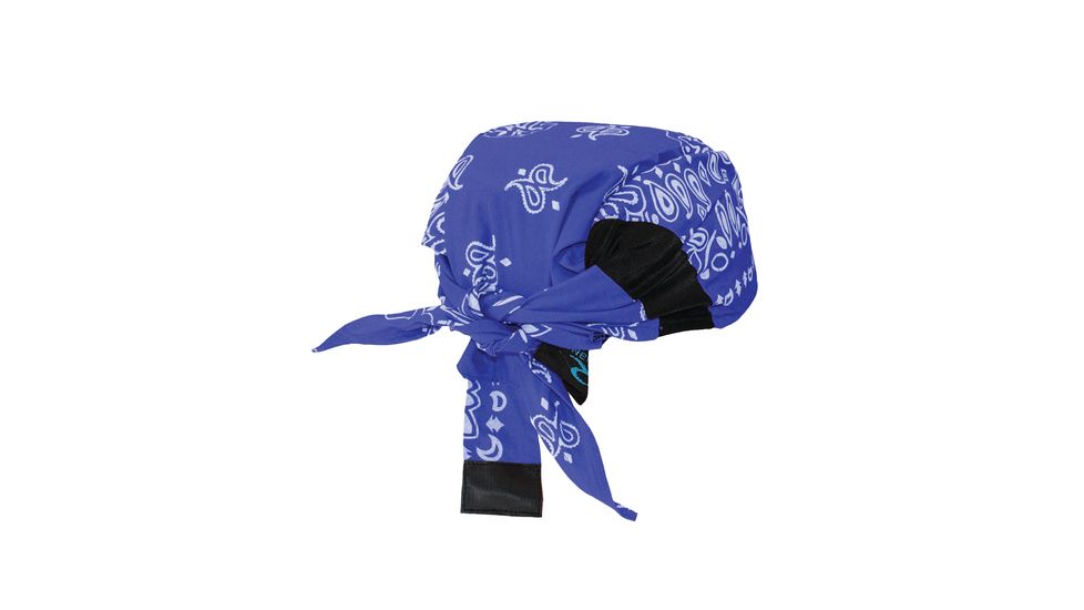 Radians Arctic Skull Head Shade Blue Paisley