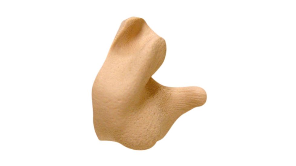 Radians Custom Molded Earplugs - Retail Box with Tan Plugs CEP002-T