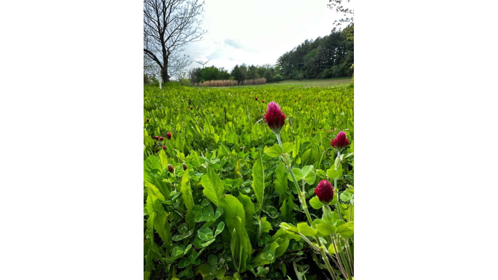 RaKK Fuel Groundwork 1/2 Acre, Large, 7518