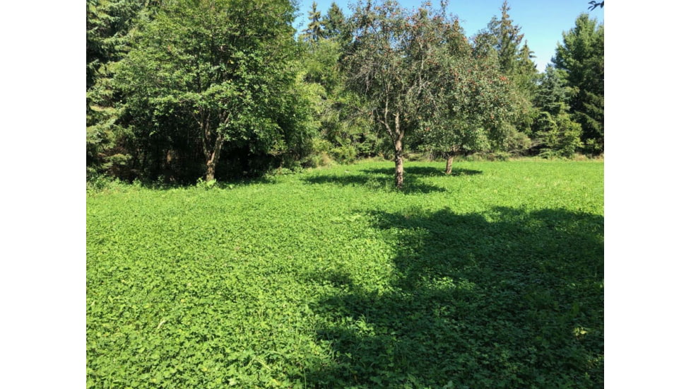 RaKK Fuel Groundwork 1/2 Acre, Large, 7518