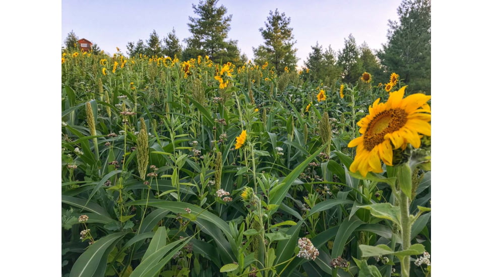 RaKK Fuel Hunters Haven 1/4 Acre, Large, 7522