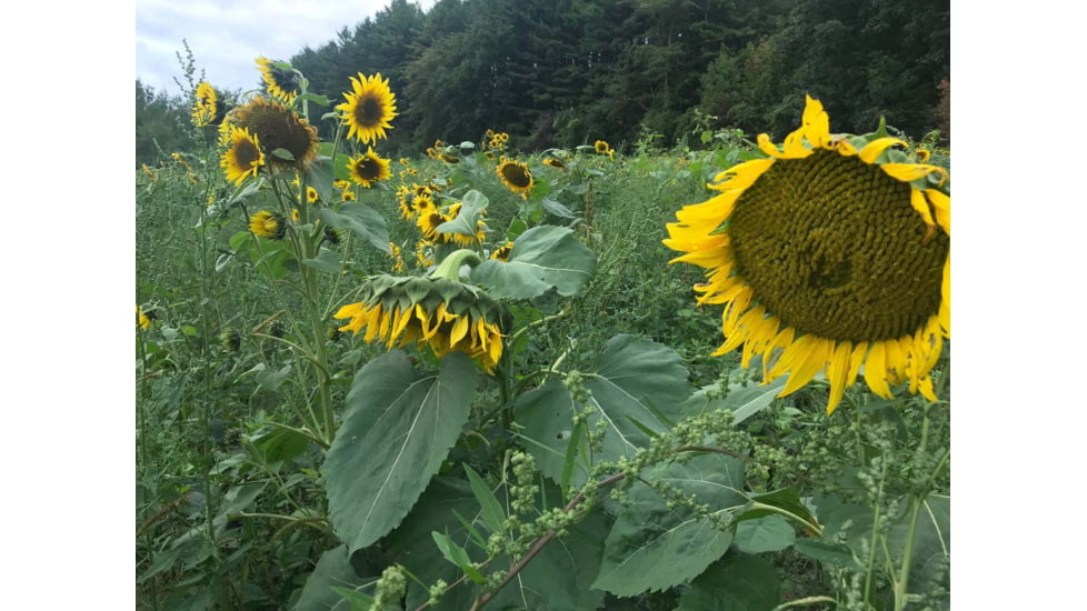 RaKK Fuel Hunters Haven 1/4 Acre, Large, 7522