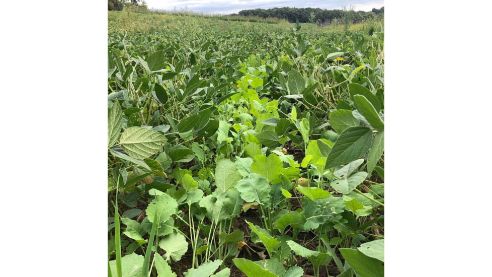 RaKK Fuel Wicked Greenz 1/4 Acre, Large, 7523