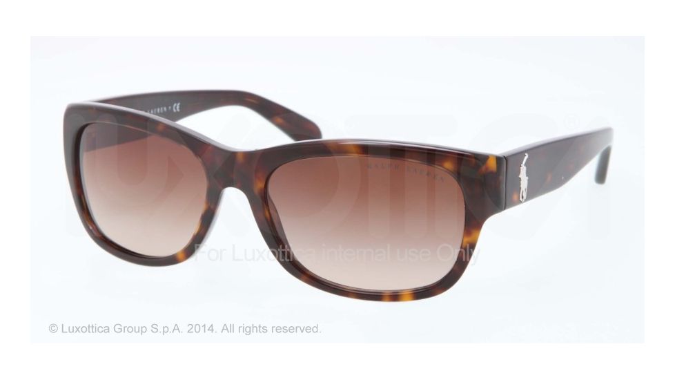 Ralph Lauren RL8106 Progressive Prescription Sunglasses RL8106-500313-56 - Lens Diameter 56 mm, Frame Color Dark Havana