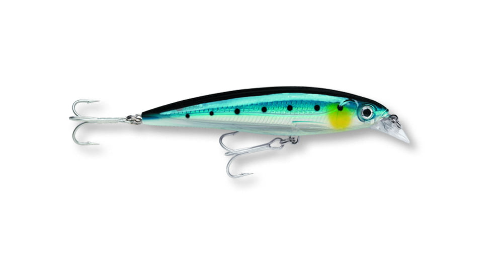 Rapala X-Rap Saltwater 8 Slashbait, 3 1/8", 1/4 oz, Blue Sardine, Suspending, SXR08BSRD