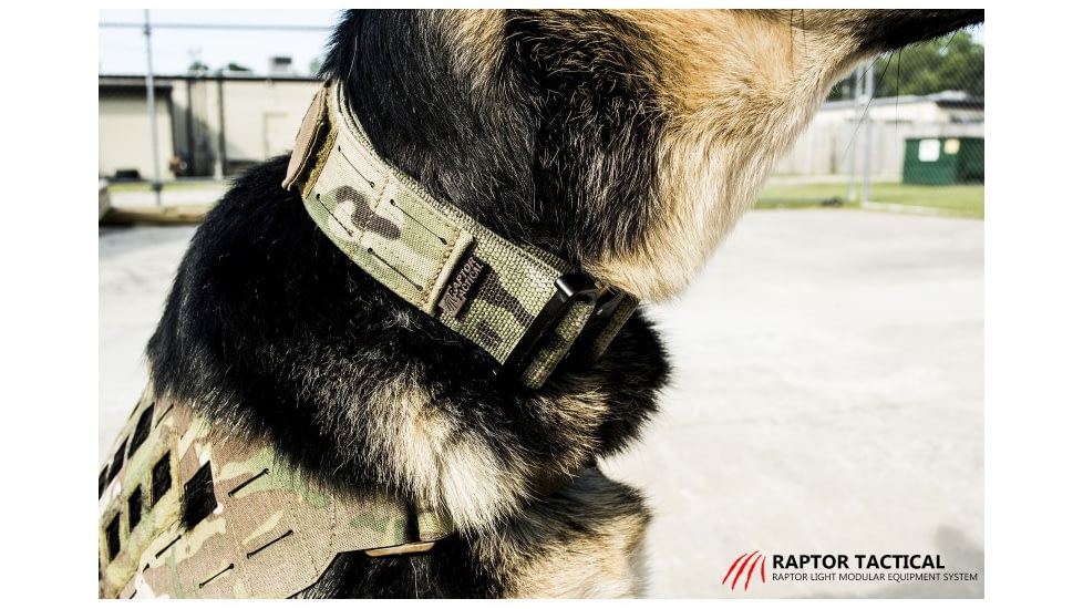 Raptor Tactical K9 ODIN Collar, Multicam, K9OC-MC-45