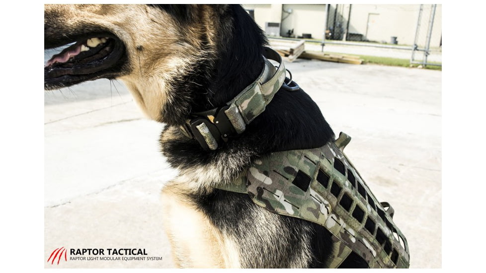 Raptor Tactical K9 ODIN Collar, Multicam, K9OC-MC-45