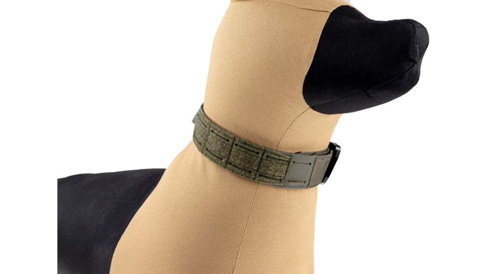 Raptor Tactical K9 Odin Collar, Ranger Green, K9OC-RG-45D