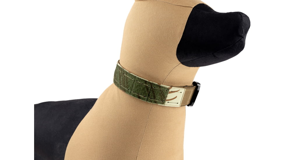 Raptor Tactical K9 Odin Collar, Rhodesian, K9OC-RH-45D