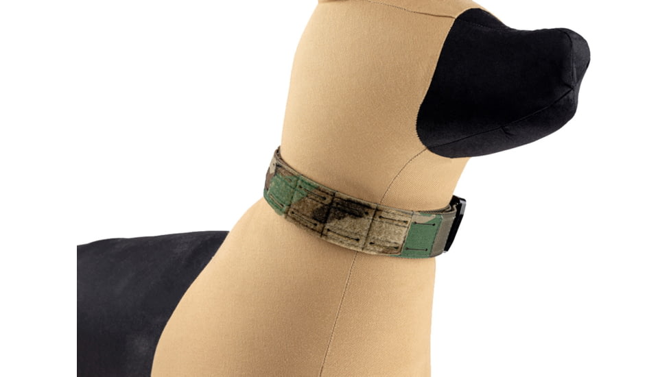 Raptor Tactical K9 Odin Collar, Woodland, K9OC-M81-45D